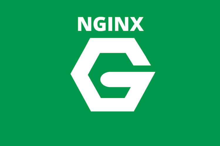 Nginx - udpxy proxy apsauga 20 Nginx - udpxy proxy apsauga 8